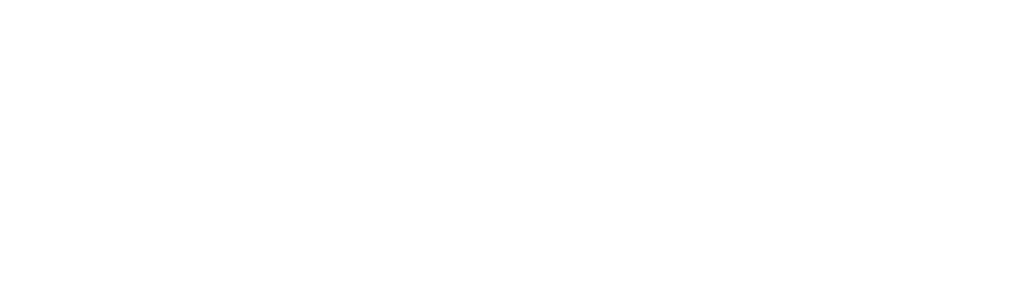 Lingoza Ventures