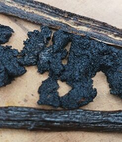 Vanilla Caviar